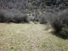 mill-creek-022