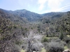 mill-creek-024