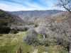 mill-creek-025