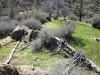 mill-creek-026