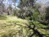 mill-creek-029