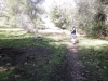 mill-creek-030