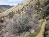 mill-creek-037