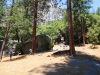 Mirror Lake to Yosemite Village 004