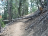 Mt Baden-Powell 3x 010