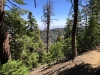 Mt.-Baden-Powell-5x-0022