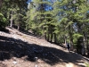 Mt.-Baden-Powell-5x-0024