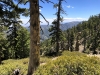 Mt.-Baden-Powell-5x-0027