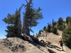 Mt.-Baden-Powell-5x-0035