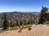 Mt.-Baden-Powell-5x-0039