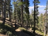 Mt.-Baden-Powell-5x-0042