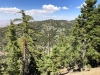 Mt.-Baden-Powell-5x-0044