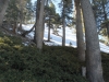 mt-baden-powell-016