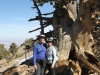 mt-baden-powell-037