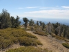 mt-baden-powell-039