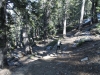 mt-baden-powell-095