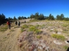 Mt-Pinos-Sawmill-Mtn-4x-0016