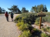 Mt-Pinos-Sawmill-Mtn-4x-0017