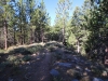 Mt-Pinos-Sawmill-Mtn-4x-0029