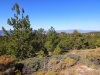 Mt-Pinos-Sawmill-Mtn-4x-0038