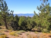 Mt-Pinos-Sawmill-Mtn-4x-0039