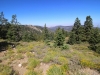 Mt-Pinos-Sawmill-Mtn-4x-0047