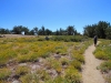 Mt-Pinos-Sawmill-Mtn-4x-0050