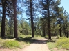 Mt-Pinos-Sawmill-Mtn-4x-0053