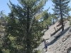 Mt Williamson 010