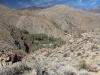 Palm Canyon 016.JPG