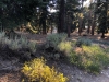 PCT-to-Grass-Hollow-0012