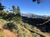 PCT-to-Grass-Hollow-0015