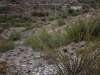 Piestewa Peak 0003