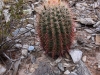 Piestewa Peak 0004