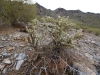 Piestewa Peak 0043