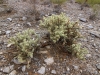 Piestewa Peak 0044