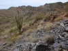 Piestewa Peak 0048