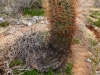 Piestewa Peak 0064