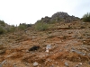 Piestewa Peak 0068