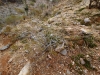 Piestewa Peak 0069