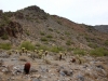 Piestewa Peak 0077