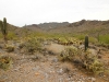 Piestewa Peak 0082