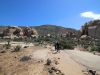 Ryan Mountain 003