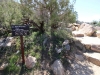 Ryan Mountain 011