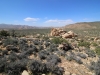 Ryan Mountain 012