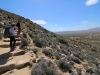 Ryan Mountain 013