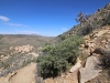 Ryan Mountain 014