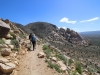 Ryan Mountain 017
