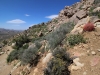 Ryan Mountain 019
