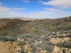 Ryan Mountain 024